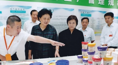 原中共中央政治局委員、國(guó)務(wù)院副總理劉延?xùn)|視察我公司